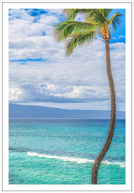 Solo - Living Moments Media - 3500-5500, 800-3500, Best Wall Artwork, blue, green, Hawaii, Island, lahaina, maui, Maui Hawaii Fine Art Photography, Maui Hawaii Wall Art, ocean, open-edition, over-5500, Palm Trees, palm-tree, size-16x-24, size-24-x-36, size-40-x-60, teal, vertical, Water, waves