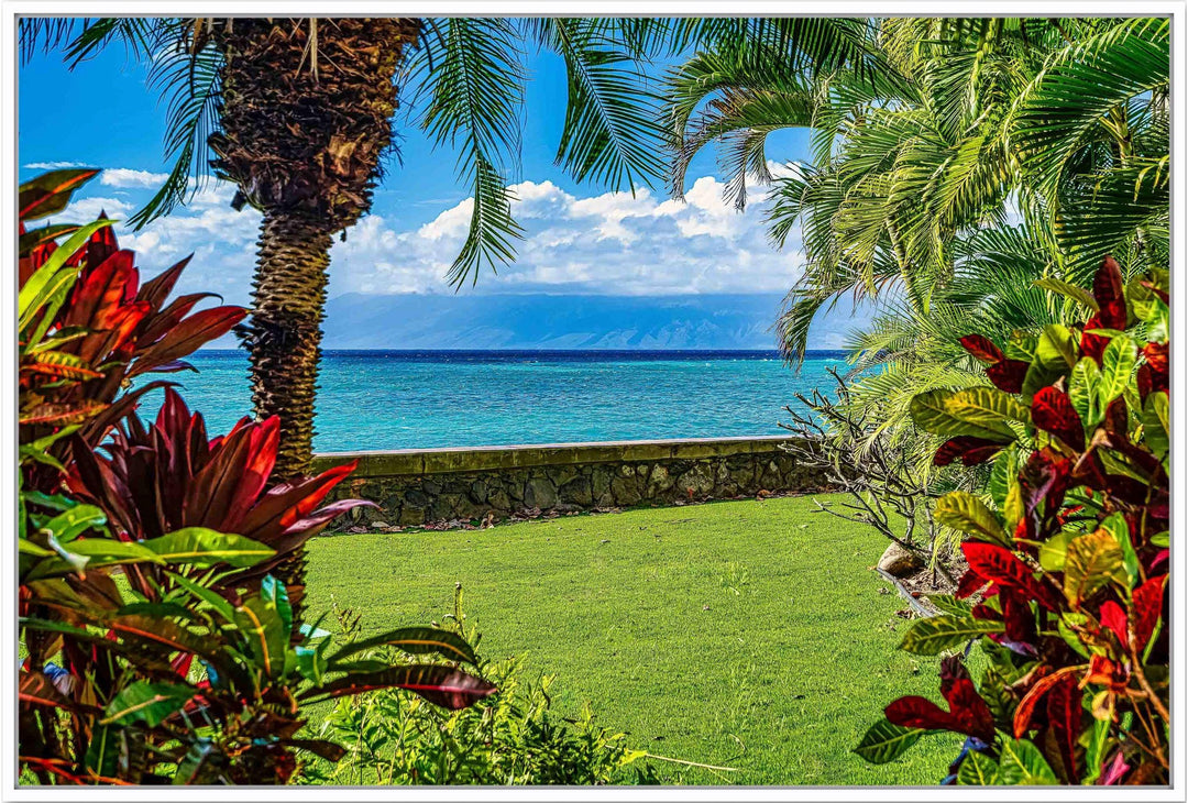Wonderful Window - Living Moments Media - 3500-5500, 800-3500, Best Wall Artwork, blue, green, Hawaii, horizontal, Island, lahaina, maui, Maui Hawaii Fine Art Photography, Maui Hawaii Wall Art, ocean, open-edition, over-5500, Palm Trees, palm-tree, rocks, size-16x-24, size-24-x-36, size-40-x-60, teal, waves